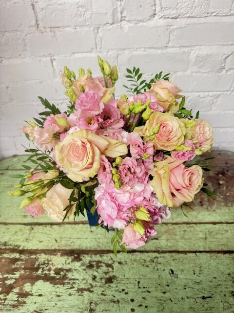 Pinky - Image 4